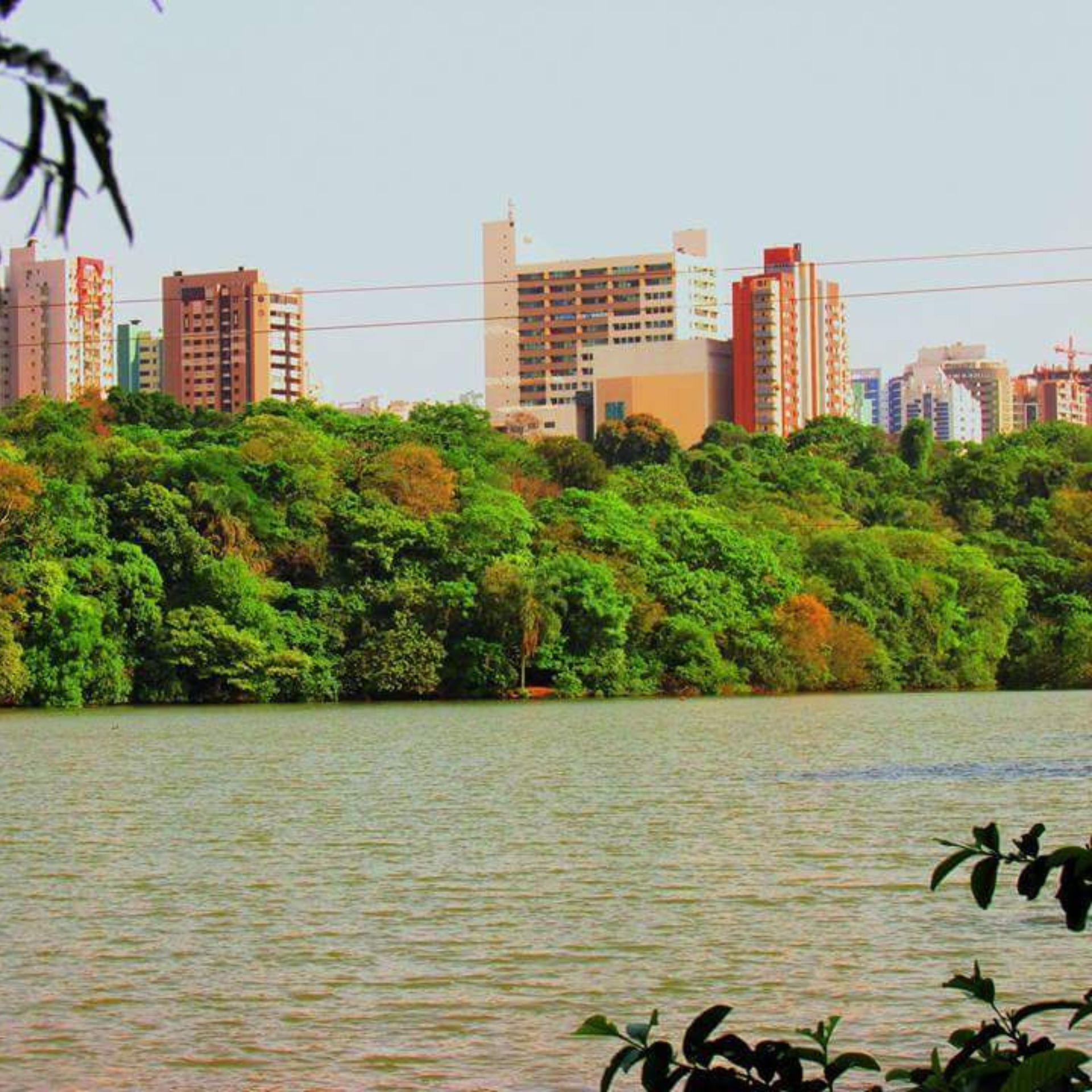 Fotos – Associados (6) Fotos - Associados (6)