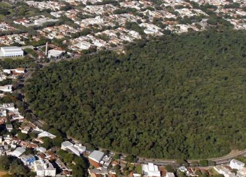 Parque dos Pioneiros (Bosque II)